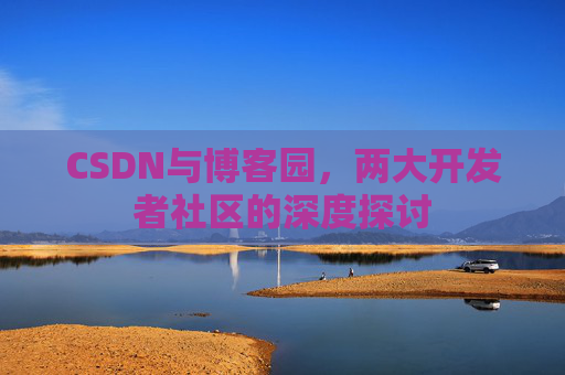 CSDN与博客园，两大开发者社区的深度探讨